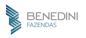 benedini fazendas imoveis